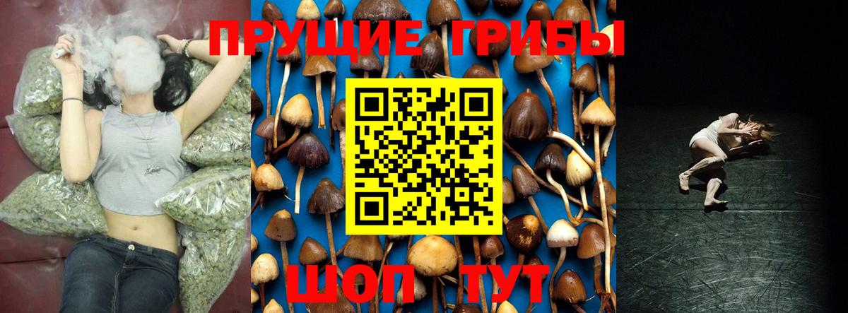 Шебекино  Галлюциногенные грибы GOLDEN TEACHER  Вход с VPN 